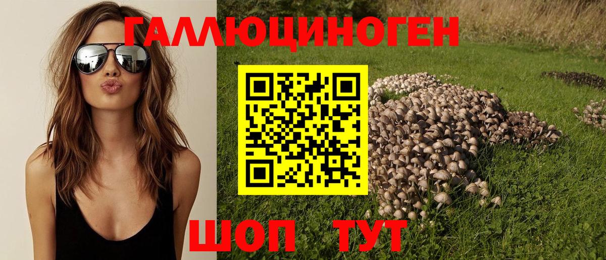 Уфа  Галлюциногенные грибы ЛСД  Вход с VPN 